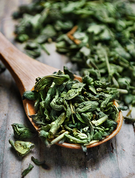 Green Tea Extract