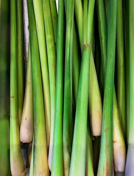 Lemongrass