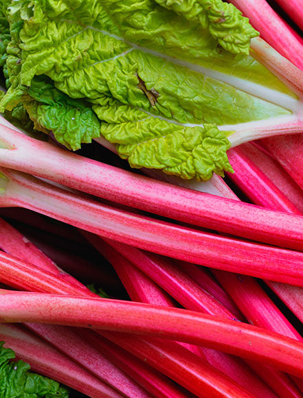 Rhubarb