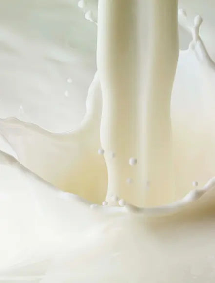 Milk